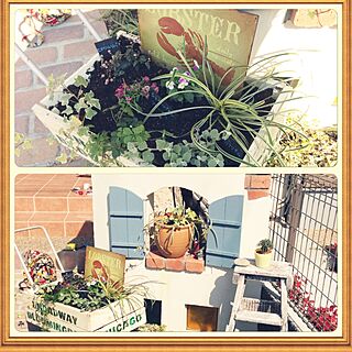 玄関/入り口/DIY/植物/ガーデン/手作り...などのインテリア実例 - 2014-10-19 16:07:00