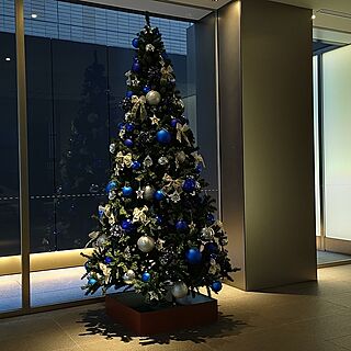 玄関/入り口/クリスマスツリー/水色インテリア/クリスマスのインテリア実例 - 2023-12-18 15:55:39