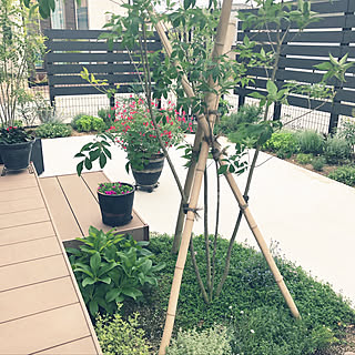 庭 プランター菜園のおしゃれなインテリアコーディネート レイアウトの実例 Roomclip ルームクリップ