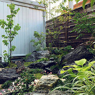 玄関 入り口 苔庭のインテリア実例 Roomclip ルームクリップ