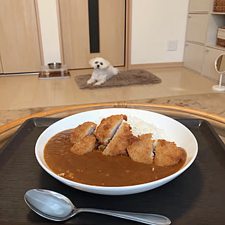 お昼ごはん/小型犬/マルチーズ/犬との暮らし/ダイソー トレー...などのインテリア実例 - 2019-07-25 12:22:21