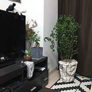 IKEA/モノトーン/ダイソー/植木鉢カバー/植木鉢...などのインテリア実例 - 2019-07-12 22:30:40