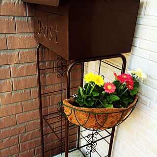 玄関/入り口/お花/100均/植物/郵便受け...などのインテリア実例 - 2014-05-28 00:03:38