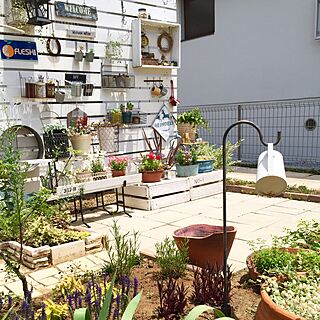 玄関/入り口/板壁DIY/ガーデン/ガーデニング/植物のある暮らし...などのインテリア実例 - 2016-06-10 14:38:04