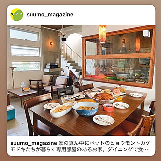 SUUMO/suumoマガジン/爬虫類のいる暮らし/土間のある暮らし/コンクリート打ちっ放し...などのインテリア実例 - 2021-11-13 22:27:44