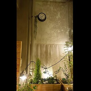 観葉植物/間接照明DIY/ベランダDIY/ベランダガーデニング/壁掛け時計DIYのインテリア実例 - 2020-04-22 00:05:02