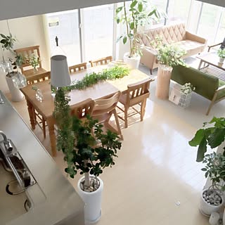 部屋全体/#BotanicalDecor/#ボタデコ/#ボタニカルデコ/新タグ...などのインテリア実例 - 2016-06-16 12:20:24