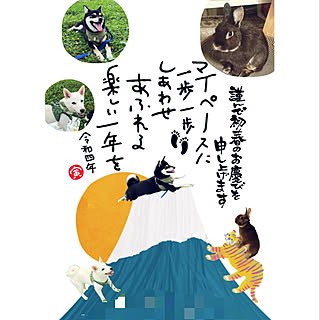 スルーで大丈夫です*˙︶˙*)ﾉ/年賀状/今年もよろしくお願いします◡̈⃝/快晴/令和4年1月1日...などのインテリア実例 - 2022-01-01 12:16:17