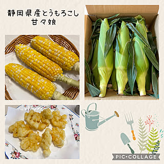 ヘルシオで簡単蒸しもの/甘いとうもろこし/甘々娘/静岡県産とうもろこし/美味しいもの♡...などのインテリア実例 - 2022-06-24 16:59:09