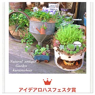 リビング/コンテスト受賞/ベランダガーデン/多肉の寄せ植え/多肉植物...などのインテリア実例 - 2015-11-29 10:52:40