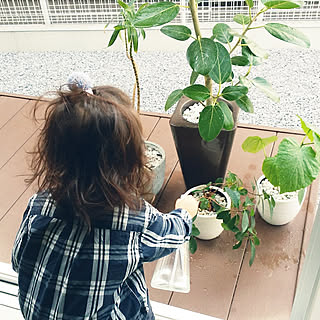 玄関/入り口/暮らしの一コマ/こどもと暮らす。/普通の家/観葉植物...などのインテリア実例 - 2018-03-15 12:42:41