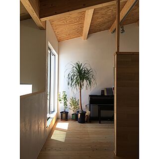 壁/天井/植物/soramado/観葉植物のインテリア実例 - 2017-05-18 20:50:25