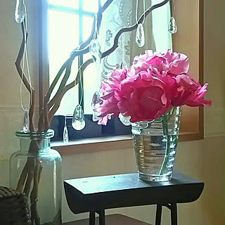 机/薔薇/バラ/庭の花を飾る/窓辺...などのインテリア実例 - 2019-05-15 18:38:10