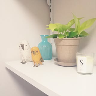 バス/トイレ/鳥/観葉植物/IKEA/DOUBLEDAY ダブルディのインテリア実例 - 2015-04-12 02:14:23