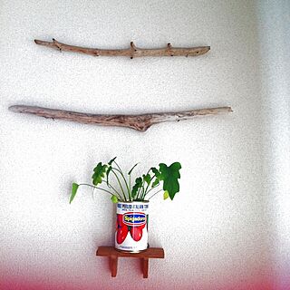 壁/天井/DIYのインテリア実例 - 2013-05-13 17:09:30
