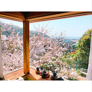 海/庭/ブランコ/桜/窓...などのインテリア実例 - 2019-04-11 11:26:22