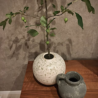 陶器が好き/花びん/花瓶/植物のある暮らし/アートのある暮らし...などのインテリア実例 - 2021-07-18 21:30:55
