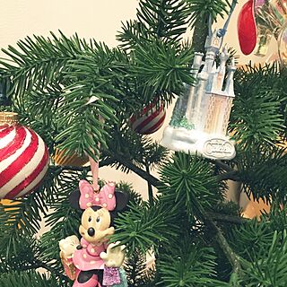 リビング/ミニーマウス/クリスマスツリー/クリスマス/キャッスル...などのインテリア実例 - 2015-11-20 18:23:54