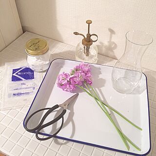 キッチン/水あげ/DIY/お花のインテリア実例 - 2015-04-02 07:10:33