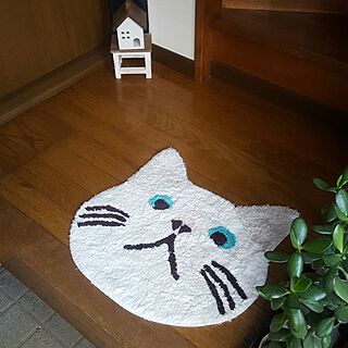 玄関/入り口/猫/猫がいる生活/猫ばかりでごめんなさい。/やっぱり猫が好きのインテリア実例 - 2016-04-14 17:39:46