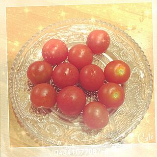 キッチン/植物/庭のインテリア実例 - 2014-07-06 19:00:06