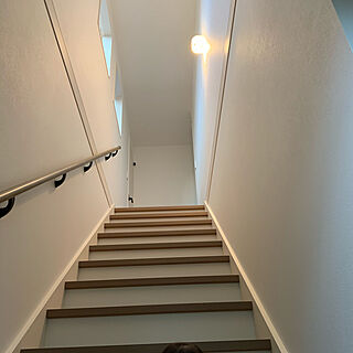 階段/幅広階段/壁/天井のインテリア実例 - 2021-05-02 17:30:32