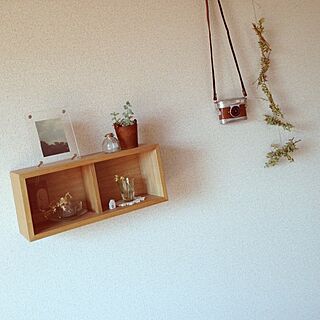 壁/天井/Muji/植物/無印良品のインテリア実例 - 2013-04-15 10:23:47