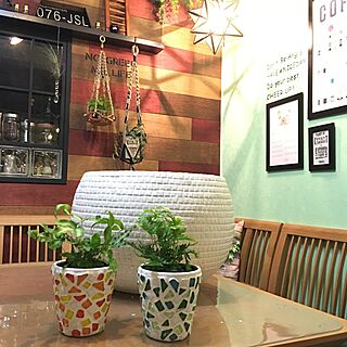 壁/天井/ダイニングテーブル/ガラスタイル鉢/植物のある暮らし/cafe風...などのインテリア実例 - 2016-02-26 18:31:25