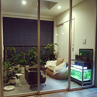 観葉植物 温室のおしゃれなインテリアコーディネート レイアウトの実例 Roomclip ルームクリップ