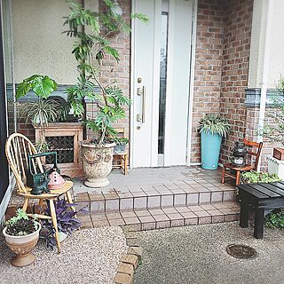 玄関/入り口/日替わり投稿企画!木曜日/植物/観葉植物/鉢植え...などのインテリア実例 - 2017-07-06 19:43:36