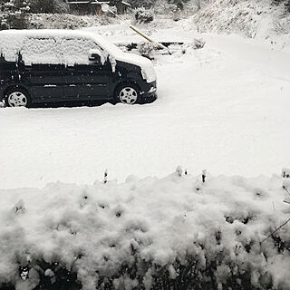 玄関/入り口/雪が降る朝/My Car/雪の日/いいね&コメント&フォロー感謝♡のインテリア実例 - 2018-02-01 07:58:53