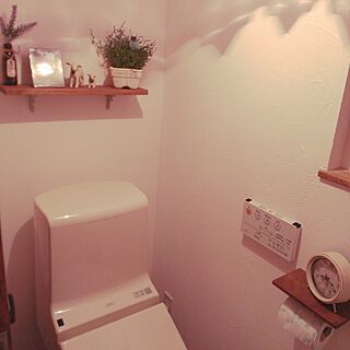 バス/トイレ/トイレの棚/トイレの壁/いなざうるす屋のインテリア実例 - 2016-02-21 20:21:25