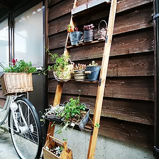 壁/天井/賃貸住宅/DIY/植物/多肉植物...などのインテリア実例 - 2017-05-30 15:59:51