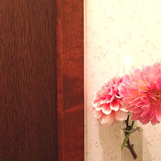 バス/トイレ/トイレ/花/花瓶/植物...などのインテリア実例 - 2013-10-18 03:17:57