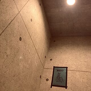 バス/トイレ/二階トイレほぼ使用されず/コンクリート風壁紙のインテリア実例 - 2017-02-07 20:23:51