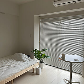部屋全体/IKEA/ニトリ/一人暮らしのインテリア実例 - 2024-02-24 23:58:30