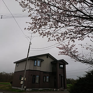 家全体/桜の木の下/曇り空のインテリア実例 - 2018-05-14 17:06:23