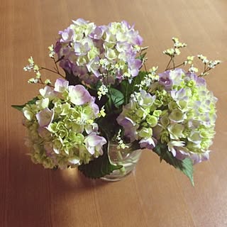 部屋全体/紫陽花大好き/花のある暮らし/緑のある暮らしのインテリア実例 - 2017-06-12 11:54:25