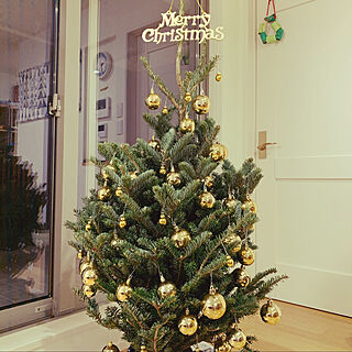 ゴールドの飾り/IKEA/北欧/クリスマス/クリスマスツリー...などのインテリア実例 - 2019-11-30 11:17:48