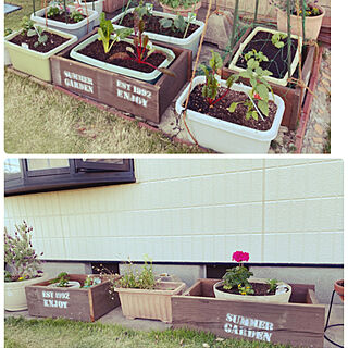 家庭菜園/ウッドデッキ廃材/再利用/庭/寄せ植え...などのインテリア実例 - 2021-05-07 19:41:50