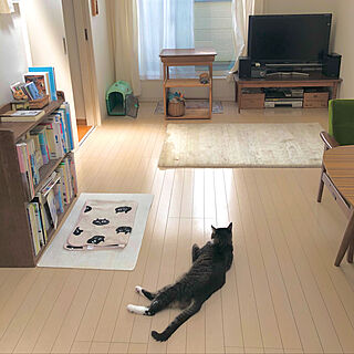 古家具/シンプルが好き/ねこと暮らす/猫との暮らし/部屋全体のインテリア実例 - 2021-09-24 11:50:20