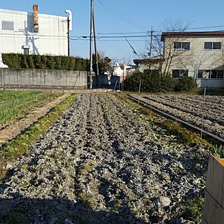 農業/家庭菜園のインテリア実例 - 2017-03-12 16:27:59