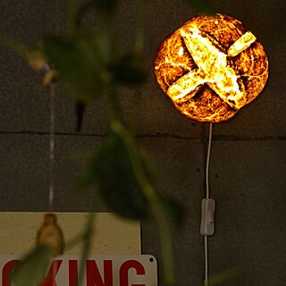 壁/天井/間接照明/ライト/パンプシェード/観葉植物...などのインテリア実例 - 2016-11-19 21:42:30