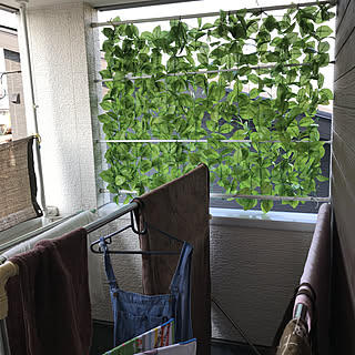 グリーンカーテン 緑のカーテンのおしゃれなアレンジ 飾り方のインテリア実例 Roomclip ルームクリップ