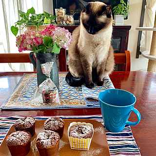 コーヒーのある暮らし/猫/猫とインテリア/紫陽花/植物のある暮らしのインテリア実例 - 2019-06-02 13:41:04