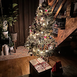 イケヒコ ラグ/プレゼントボックス/クリスマスプレゼント/クリスマス/クリスマスツリー...などのインテリア実例 - 2022-12-26 00:09:26