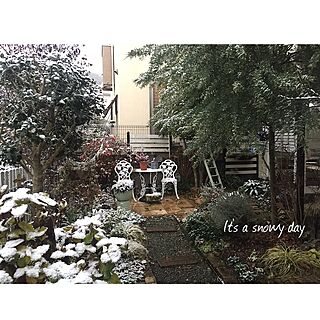 ベッド周り/December28.2016/初雪/cherry's garden/庭バカ...などのインテリア実例 - 2016-12-28 07:14:41