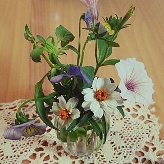 リビング/100均/ナチュラルキッチン/花を摘んで小さな花瓶に挿すのインテリア実例 - 2016-06-02 19:20:05