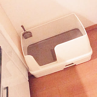 バス/トイレ/猫のインテリア実例 - 2019-02-10 02:53:10