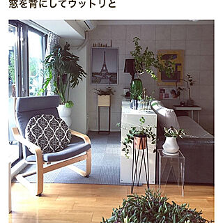 棚/アイアン植物棚DIY/IKEA椅子/IKEA棚/イケア...などのインテリア実例 - 2018-07-05 16:08:38